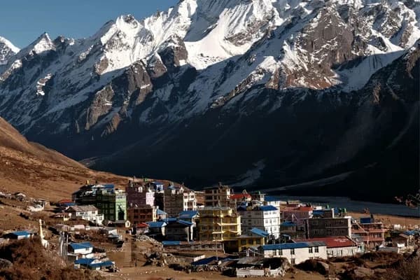 langtang trek with kids family