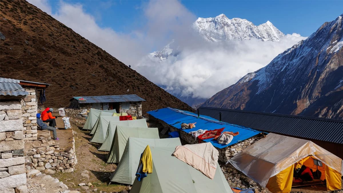 Dharamsala Larke Phedi