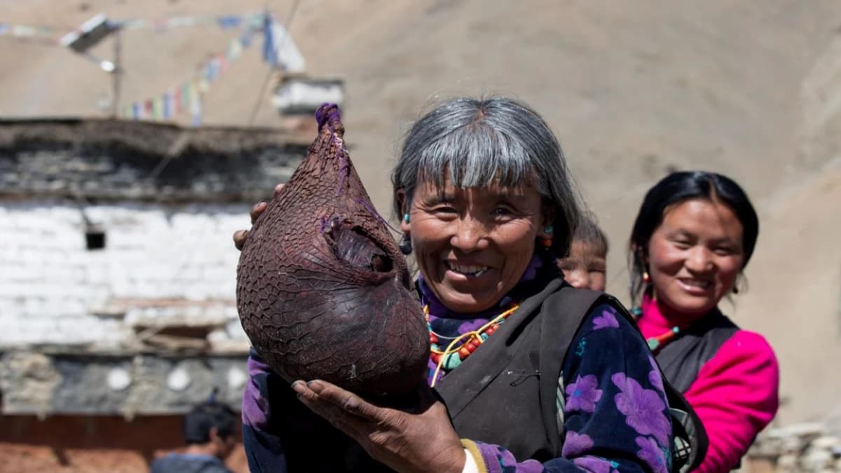 Dolpo Region of Nepal
