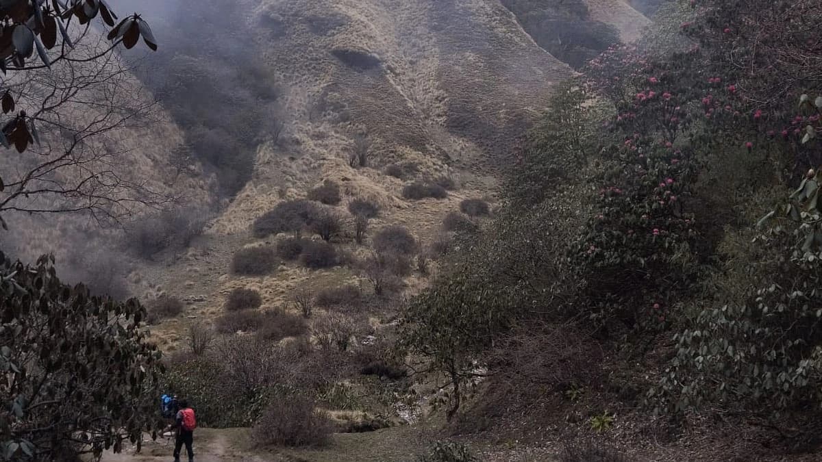 hike to poon hill