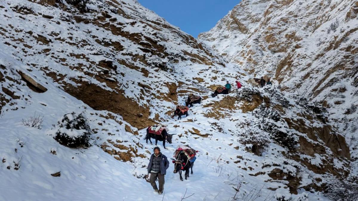 Lower Dolpo Trek