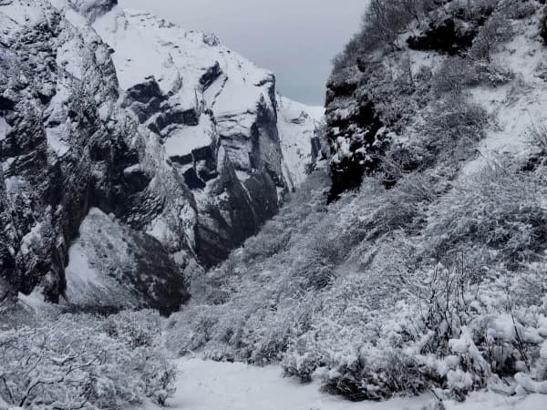 Annapurna Sanctuary 1