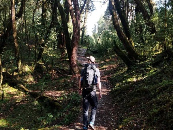 Khopra Ridge Trail