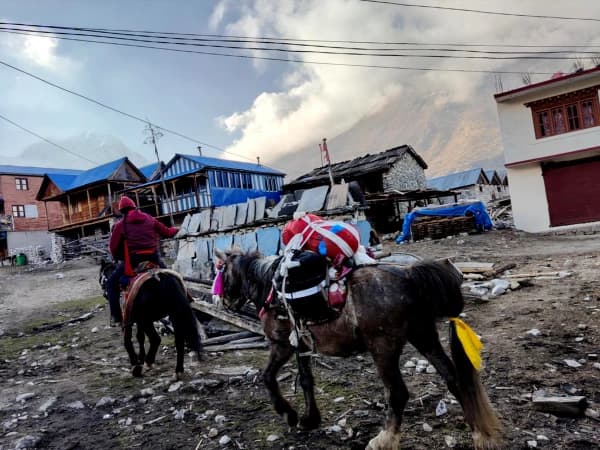 Manaslu Region