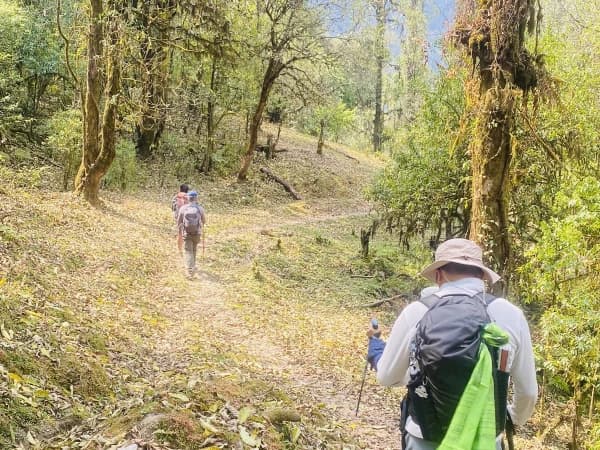 Mardi Himal Trail