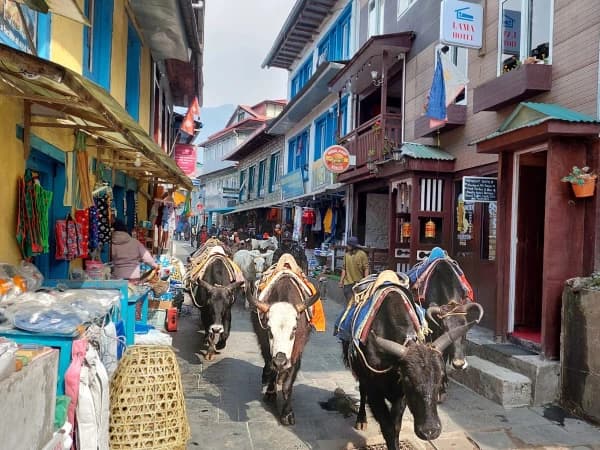 Namche Bazar
