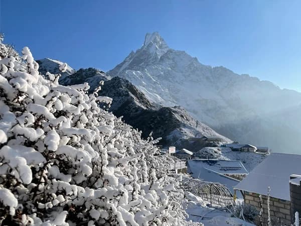 Mardi Himal Trek